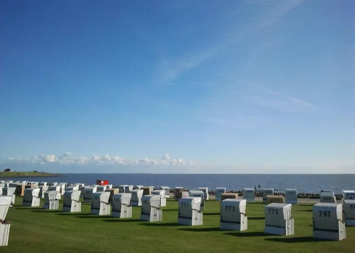 Meer *